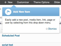 Working with Custom Admin Pointers in WordPress - bavotasan.com