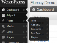 Screenshot of Fluency Admin for Wordpress