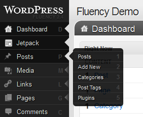 Screenshot of Fluency Admin for WordPress